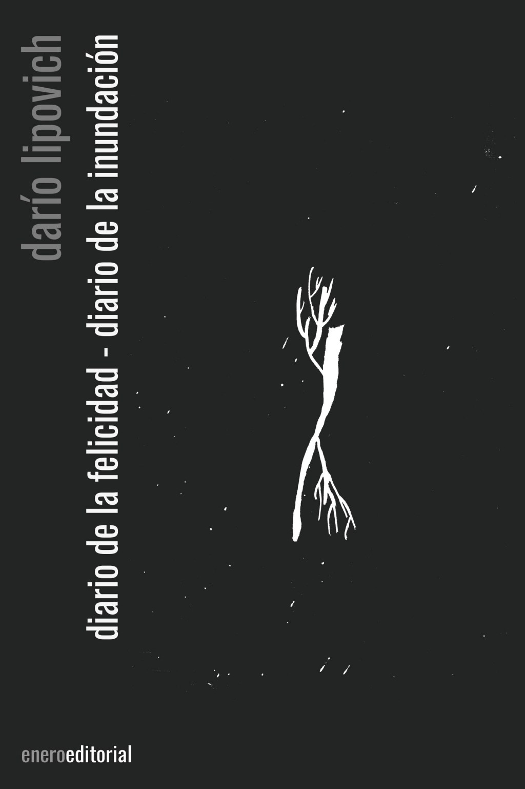 Reseña de «Diario de la felicidad – Diario de la inundación» de Darío&nbsp;Lipovich