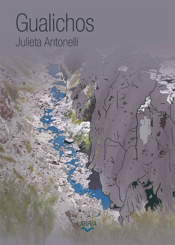 Reseña de «Gualichos» de Julieta Antonelli