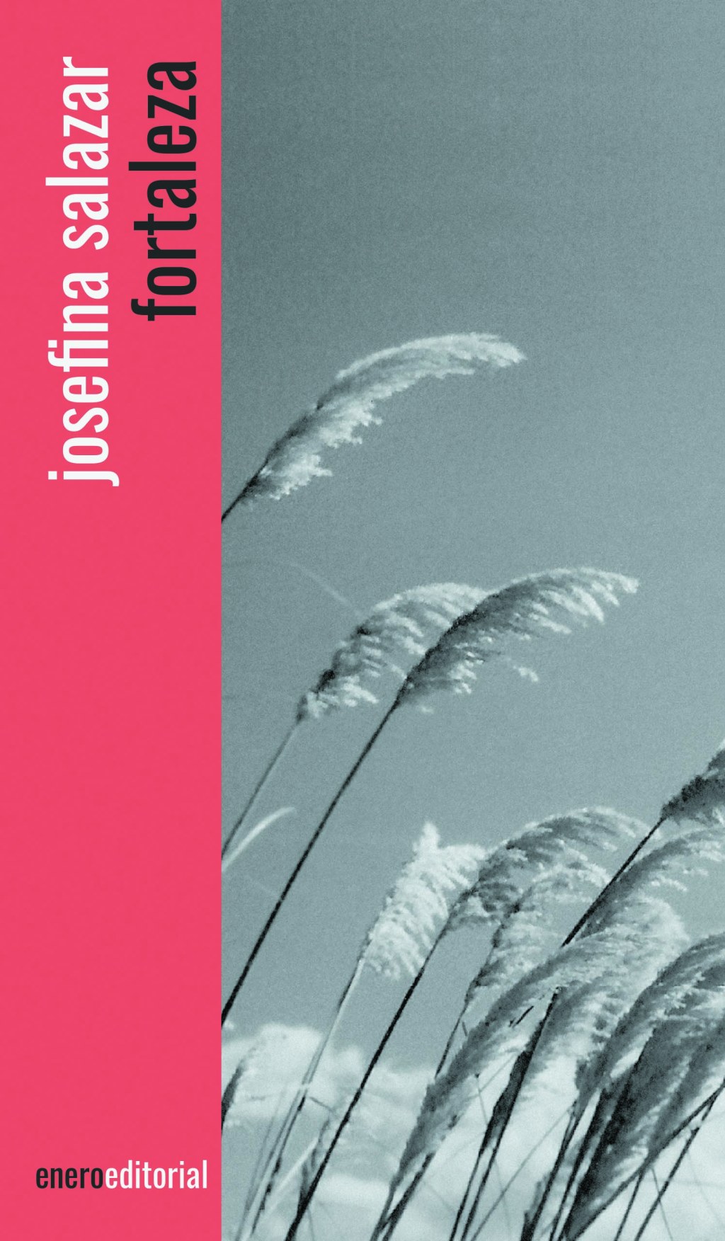 Reseña de «Fortaleza» de Josefina&nbsp;Salazar